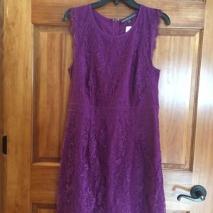 Brixon Ivy lace overlay sheath dress.